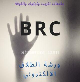رانيا عثمان تكتب ورشة عمل لمناقشة الطلاق الإلكتروني بمؤسسة BRC